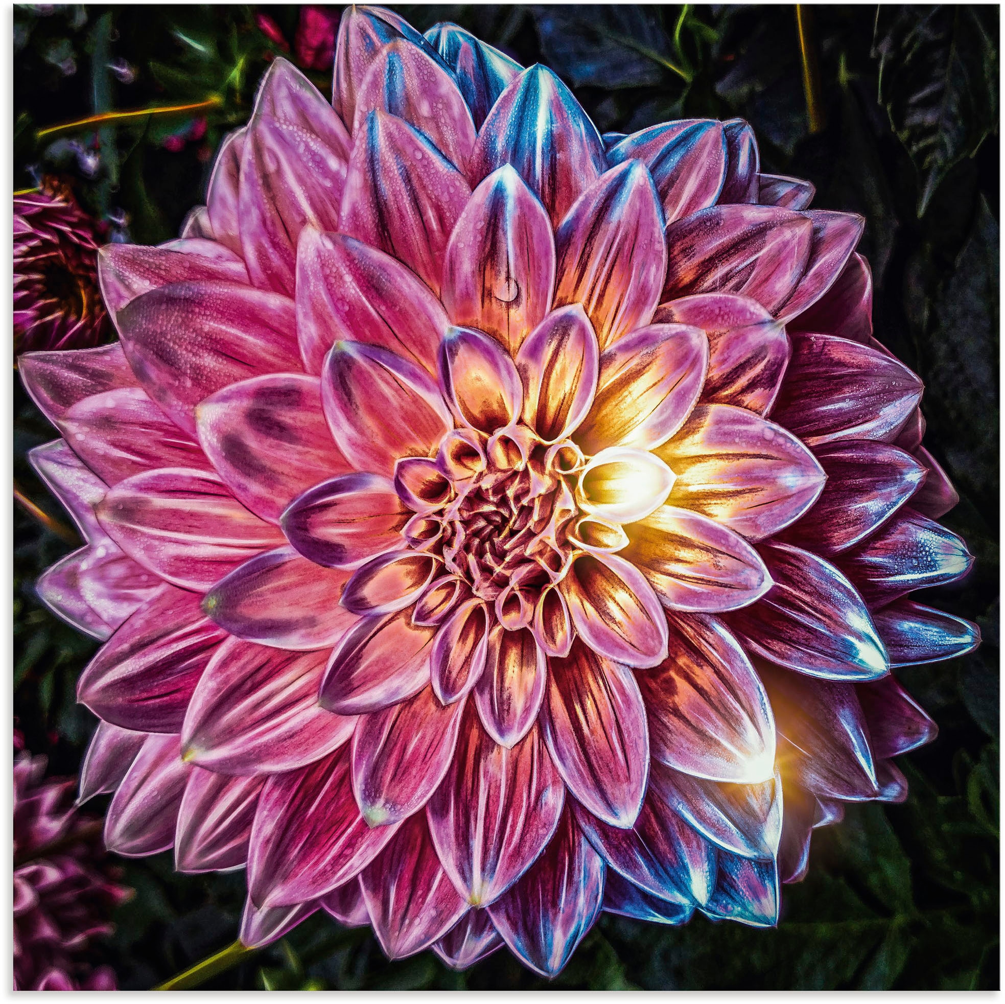 Artland Wandbild »Lila Blüte beleuchtet«, Leinwandbild, bestellen online in Jelmoli-Versand oder Alubild, Wandaufkleber als | (1 St.), Poster Grössen versch. Blumenbilder