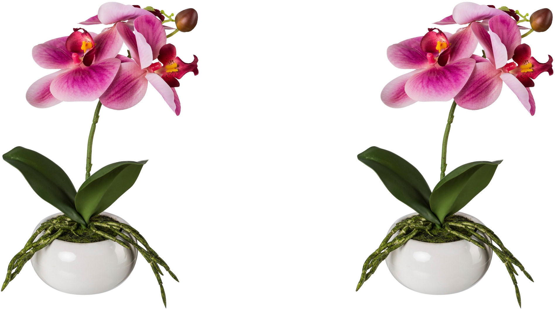 Creativ green Kunstorchidee »Phalaenopsis in Keramikschale«, mit Real-Touch-Blüten