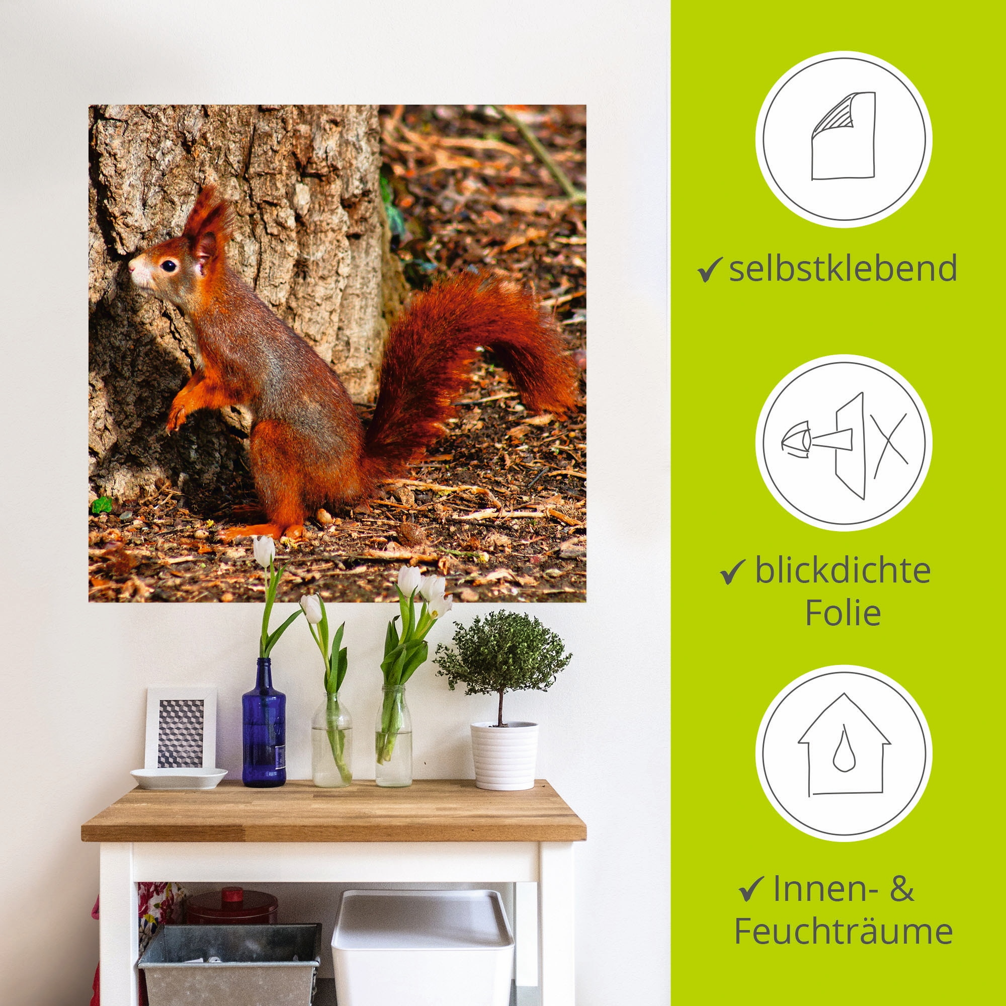 Artland Wandbild »Rotes Eichhörnchen will hoch hinaus«, Wildtiere, (1 St.), als Poster, Wandaufkleber in verschied. Grössen