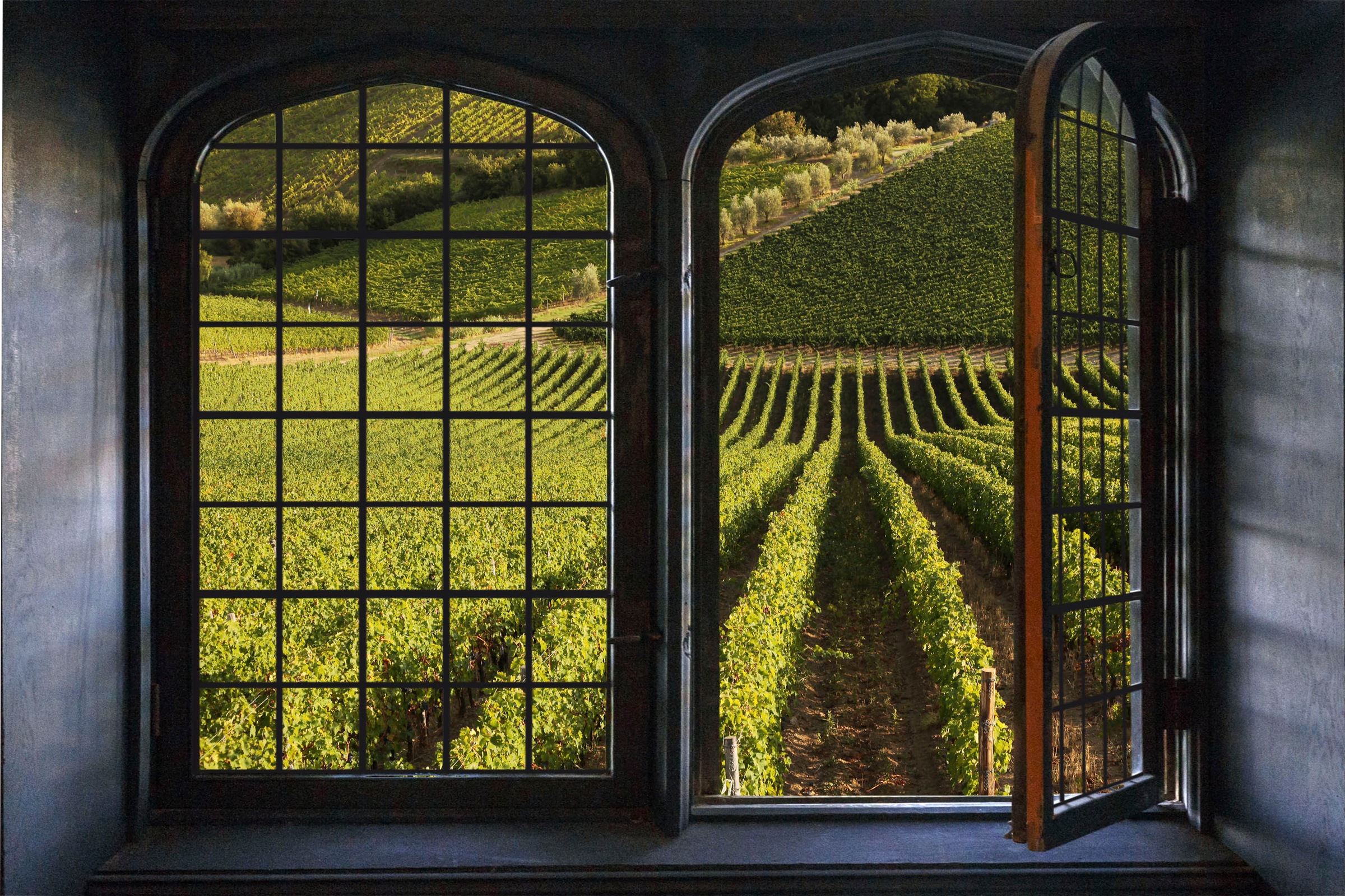 queence Wandsticker »Weinreben«, Wandsticker, Wandbild, selbstklebend, 3D, Fenster
