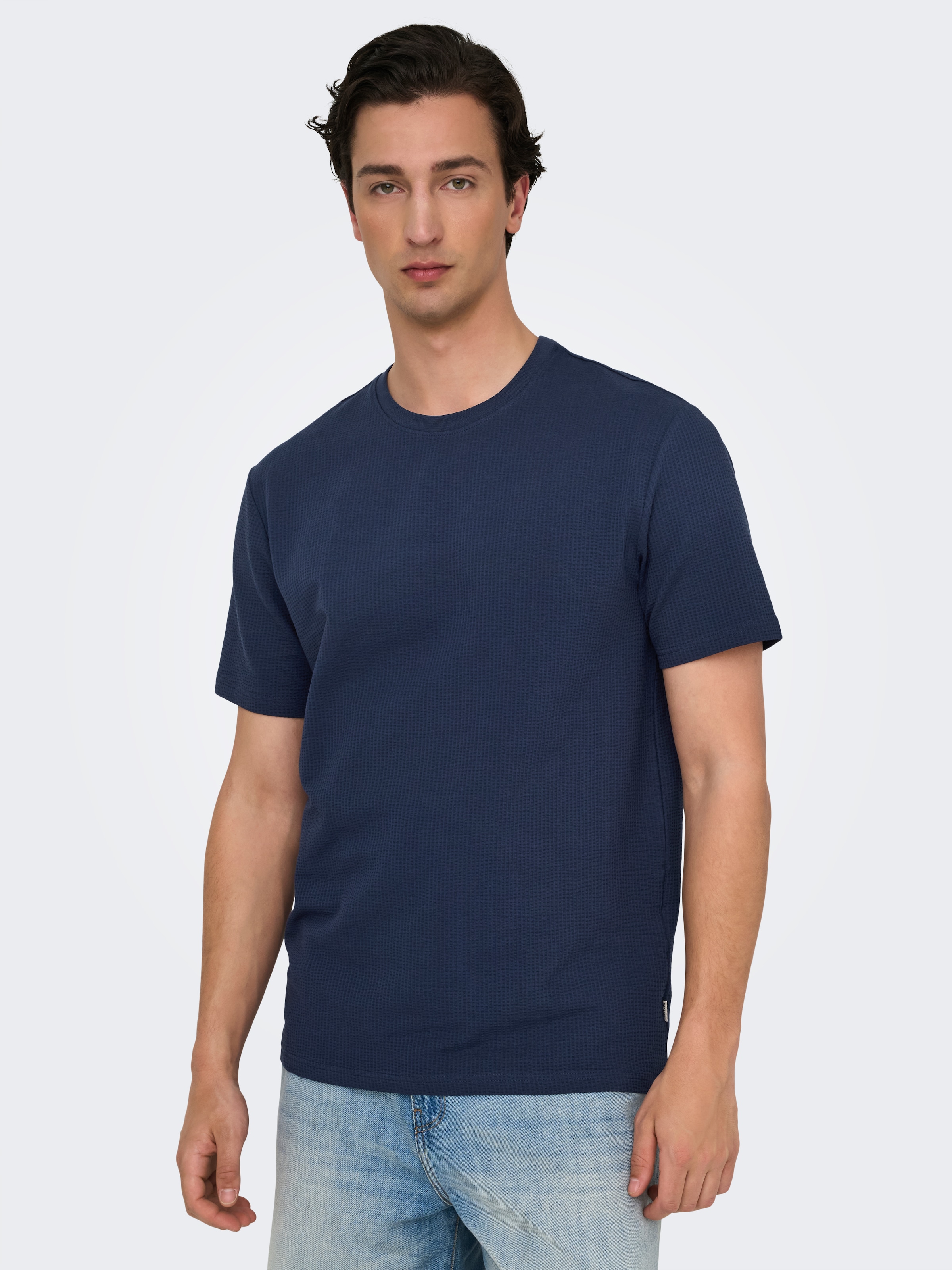 ONLY & SONS Rundhalsshirt »ONSKIAN LIFE REG SEERSUCKER SS TEE NOOS«