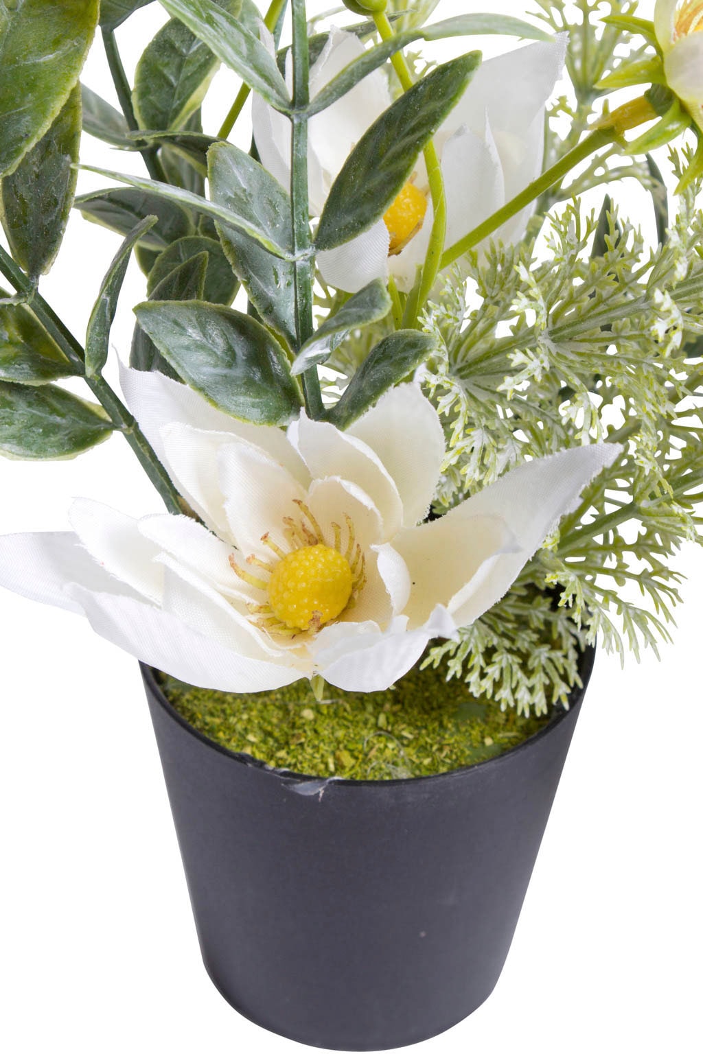 Kunststofftopf« Zimmerpflanze acheter im Botanic-Haus schwarzen Künstliche »Christrosen-Arrangement