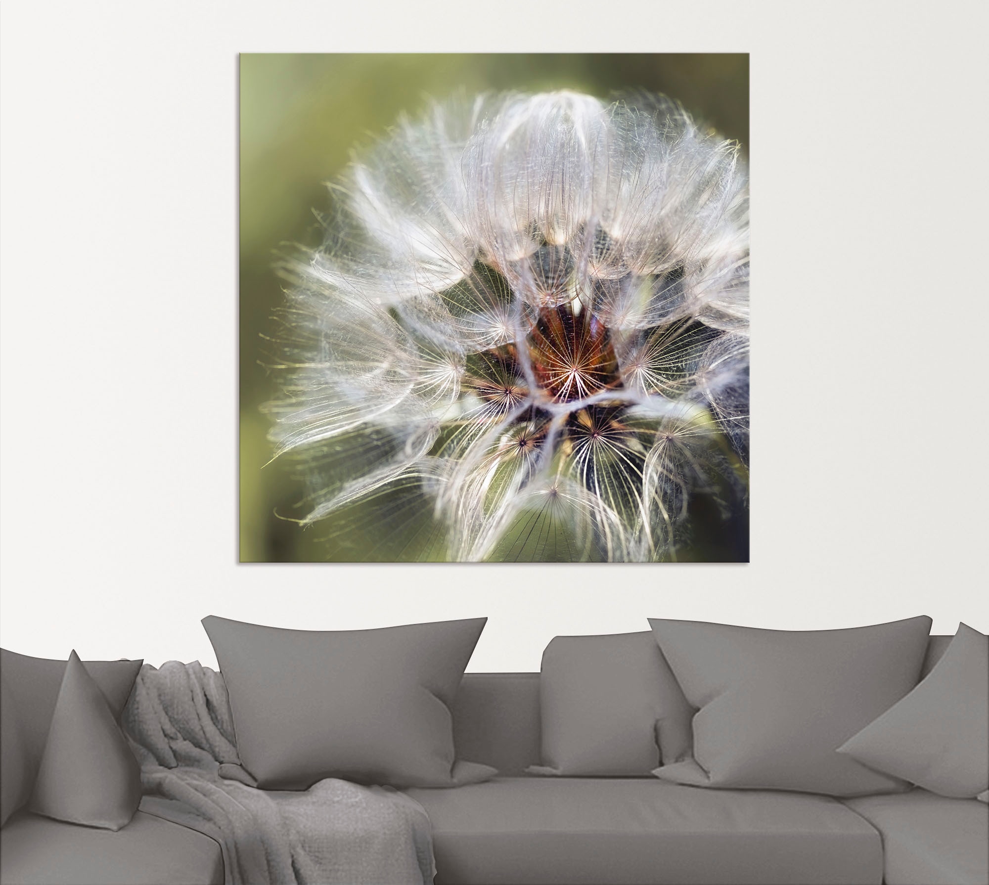 Artland Wandbild »Pusteblume II«, Blumen, (1 St.), als Alubild, Leinwandbild,  Wandaufkleber oder Poster in versch. Grössen online bestellen |  Jelmoli-Versand | Poster