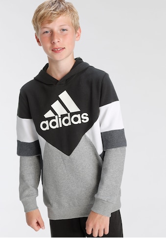 adidas Sportswear Sweatshirt »COLORBLOCK FLEECE HOODIE« kaufen