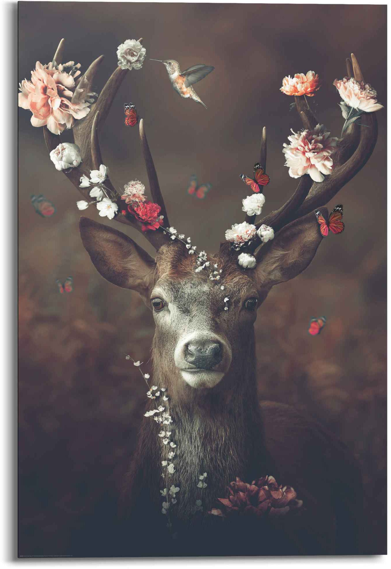Romantisch Poster »Hirsch - - St.) Reinders! - Schmetterling Hirschbilder-Tiere, Kolibri Jelmoli-Online ❤ Blumenkranz«, Shop (1 im entdecken
