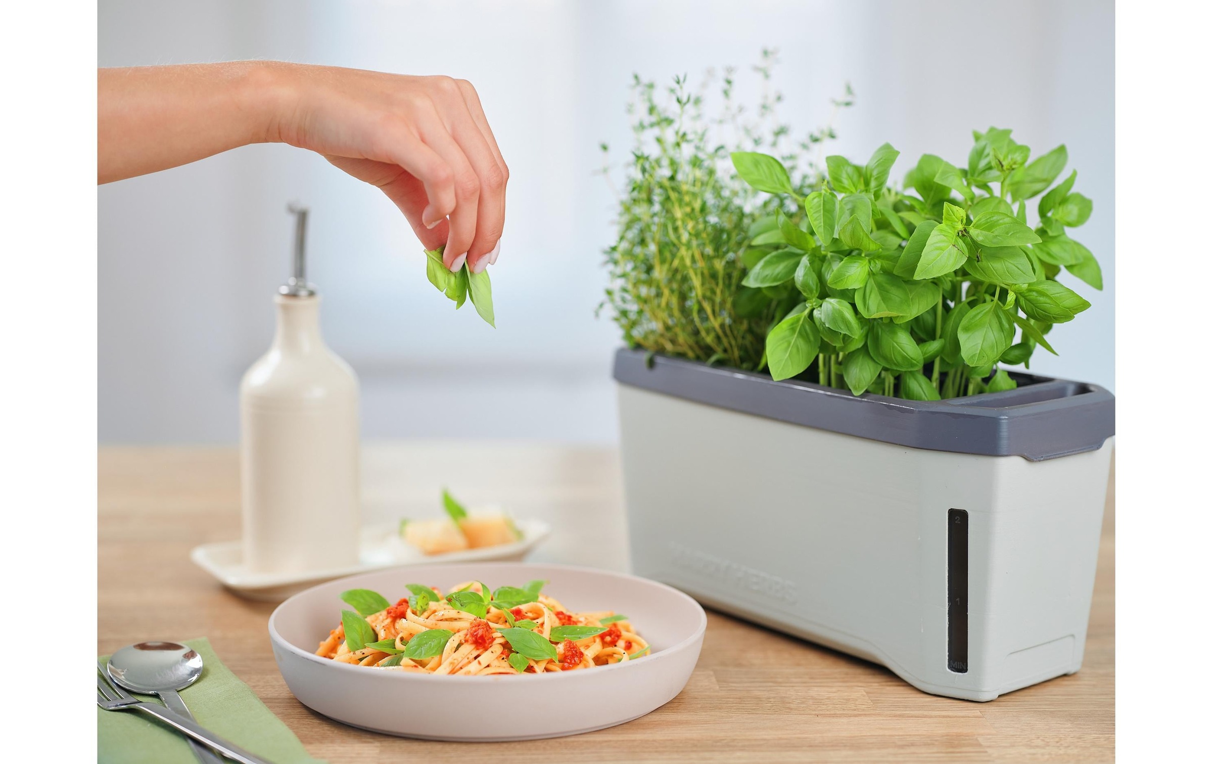 Gusta Garden Kräutertopf »HERBS hellgrau«, (1 St.)