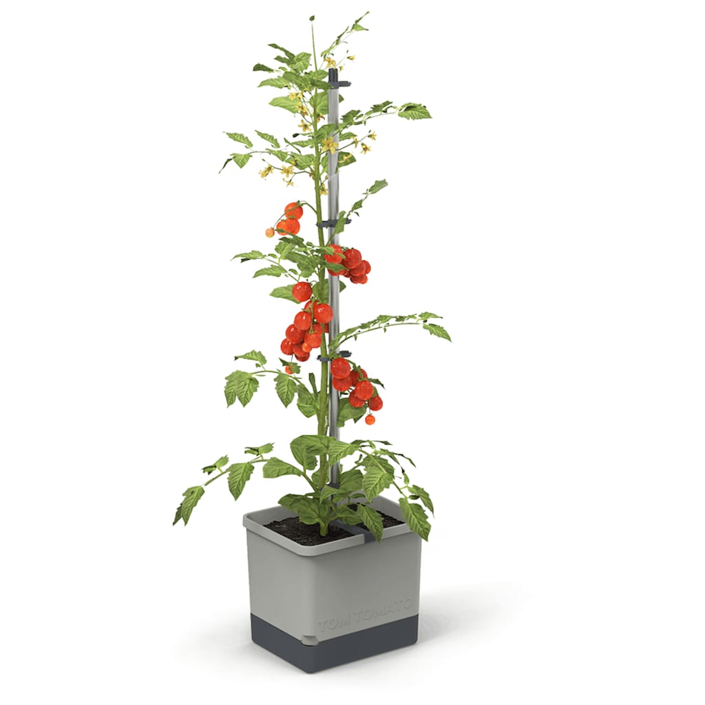 Gusta Garden Pflanzkübel »Tom Tomato«