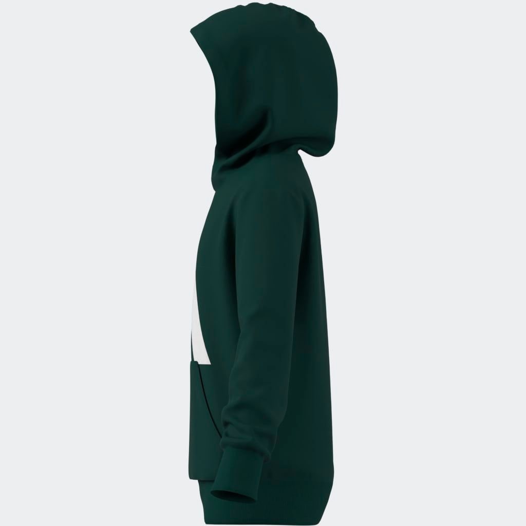 adidas Sportswear Kapuzensweatshirt »J BL FT HD 280«
