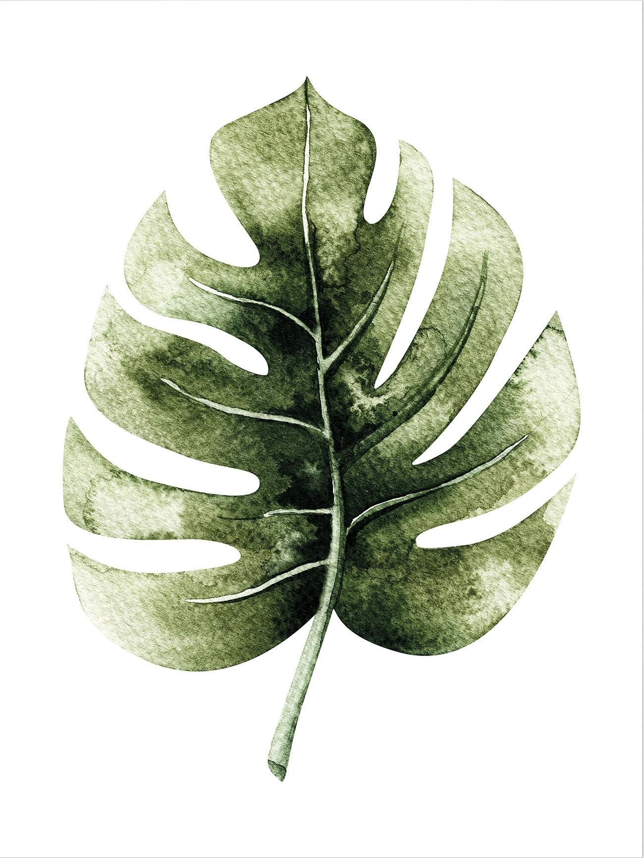 Monstera Jelmoli-Versand Leaf«, Wandposter - shoppen Wall-Art | online »Kvilis Wandbild, Bild, Poster, Poster