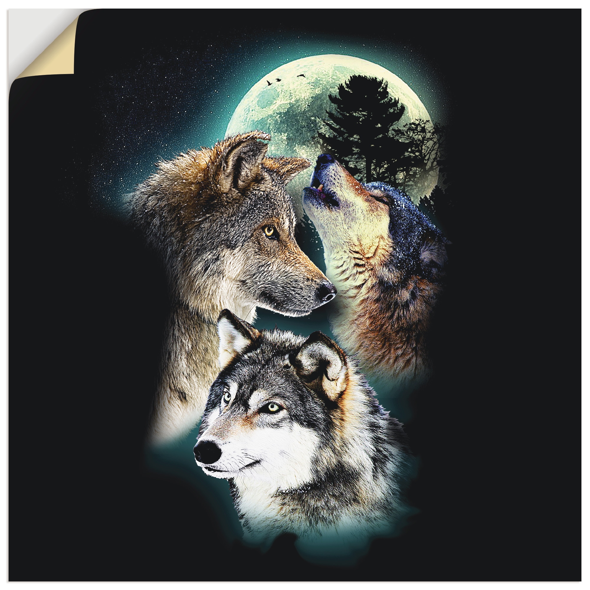 (1 Wölfe verschied. Mond«, Wildtiere, als mit »Phantasie kaufen online Leinwandbild, Poster, Wandaufkleber | Artland Wandbild Jelmoli-Versand in Wolf Grössen St.),