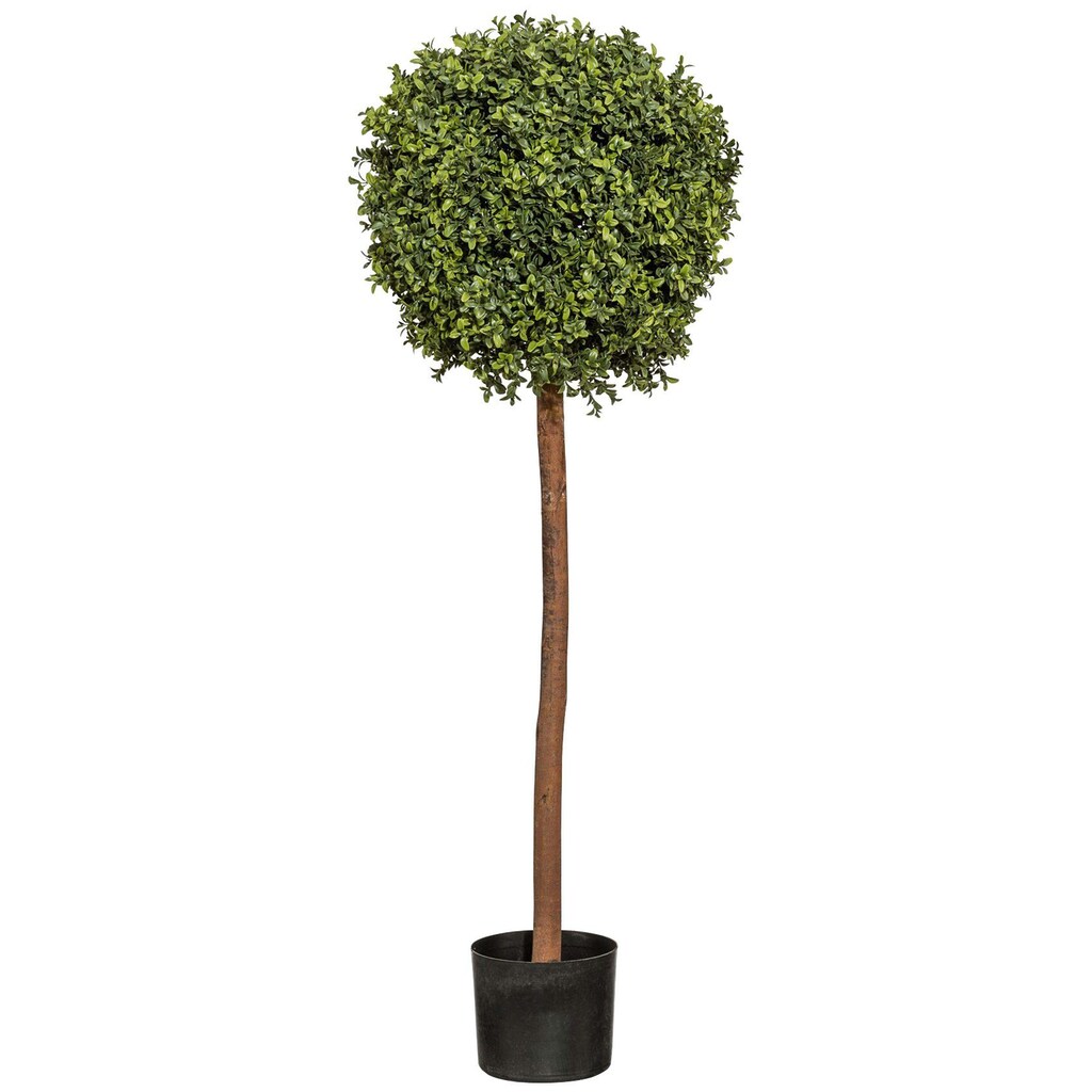 Creativ green Kunstpflanze »Buchskugelbaum«