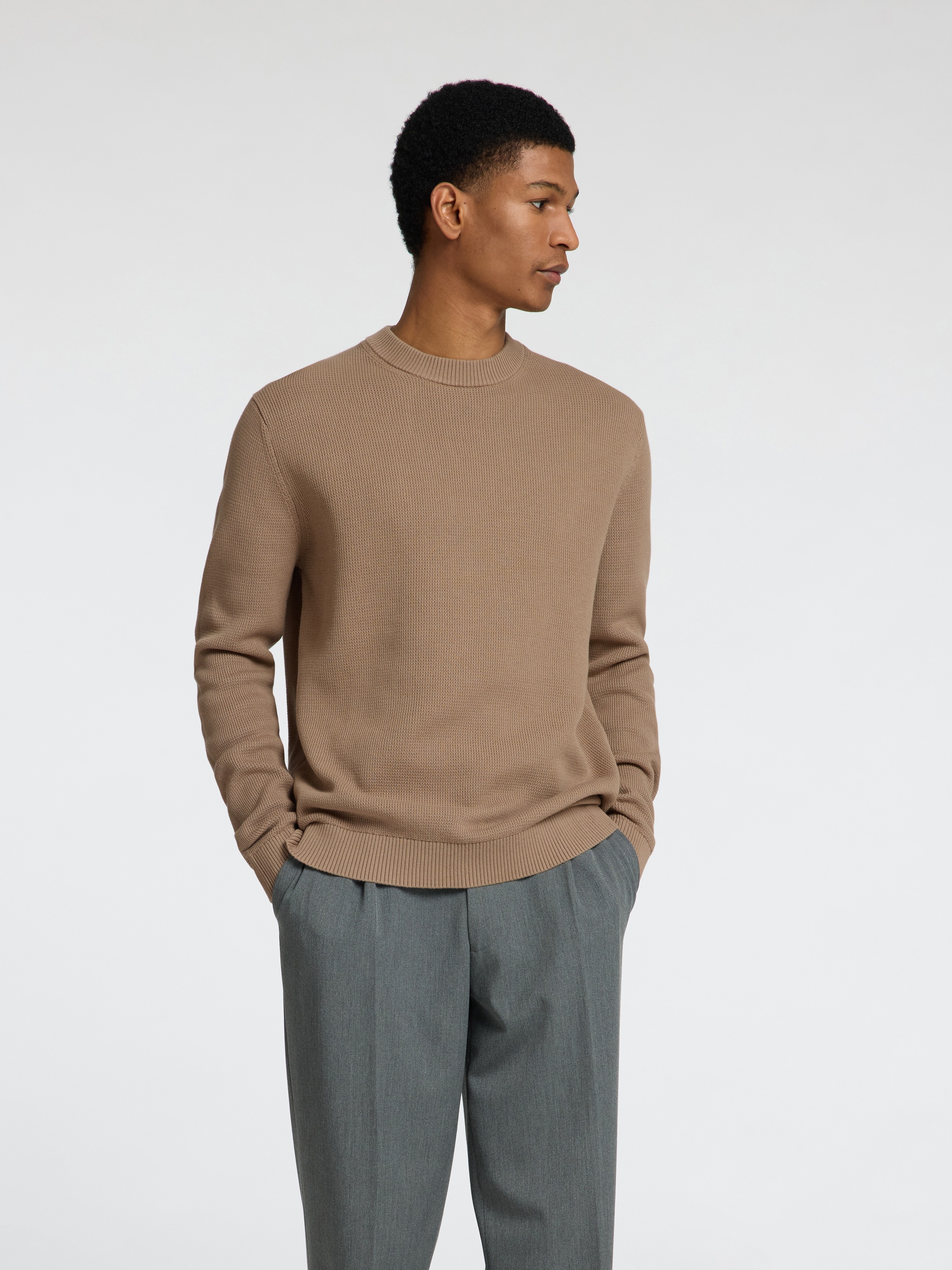 SELECTED Rundhalspullover »SLHDANE LS KNIT STRUCTURE CREW NECK NOOS« Baumwolle, regular fit