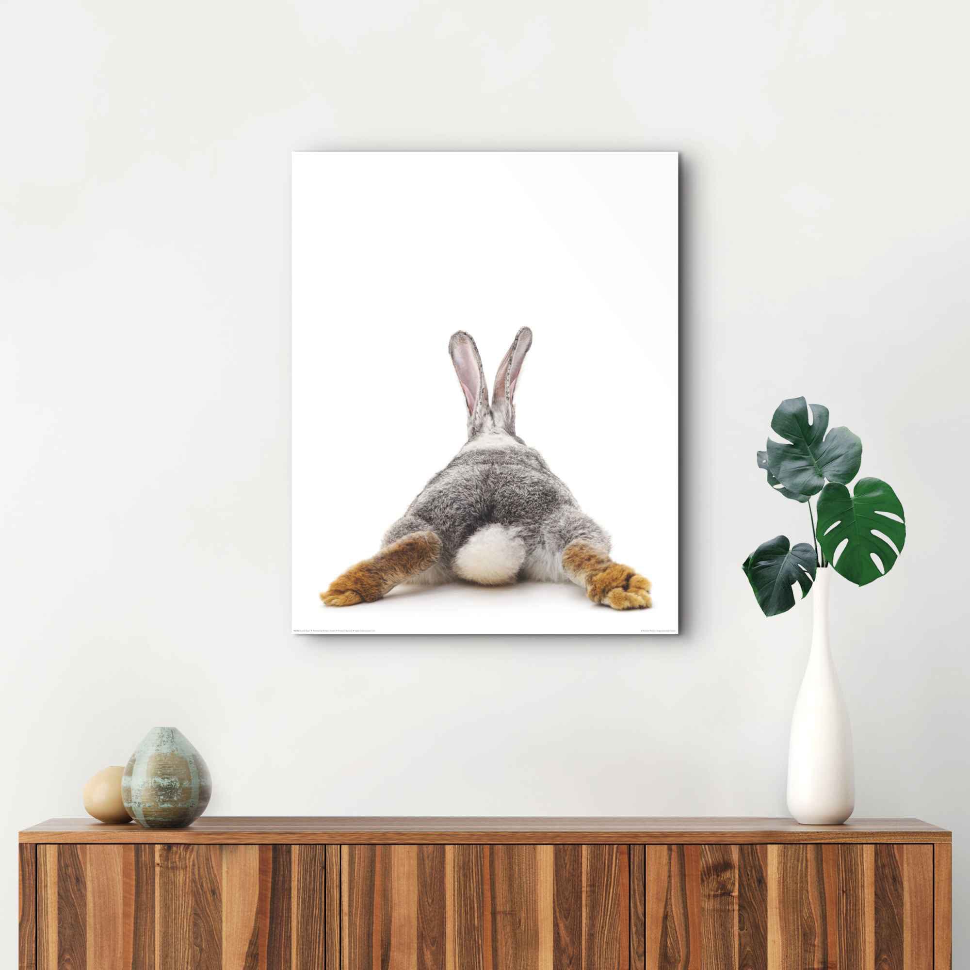 Reinders! Wandbild »Wandbild Kaninchen Rabbit - Hase - Schwanz - Relax«, Hasen, (1 St.)