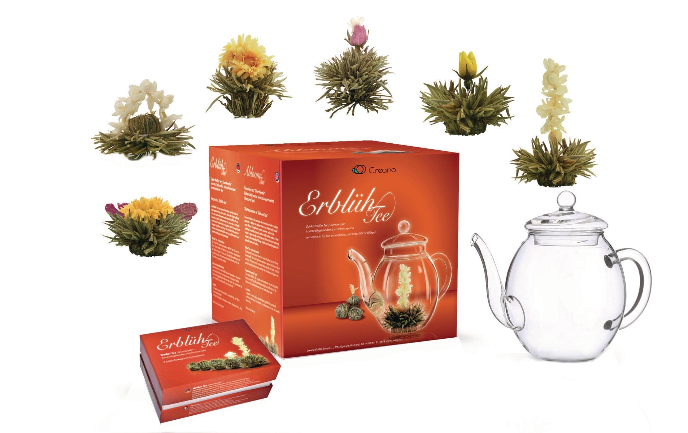 Creano Teekanne »Erblühtee 0.5 l, Transparent«, 0,5 l