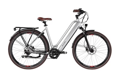 ALLEGRO E-Bike »Invisible Al«, Heckmotor 250 W kaufen