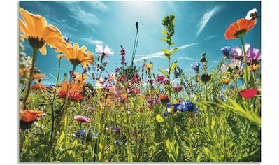 Artland Wandbild »Tulpen Garten Frühling«, Blumenwiese, (1 St.), als Alubild,  Leinwandbild, Wandaufkleber oder Poster in versch. Grössen online bestellen  | Jelmoli-Versand