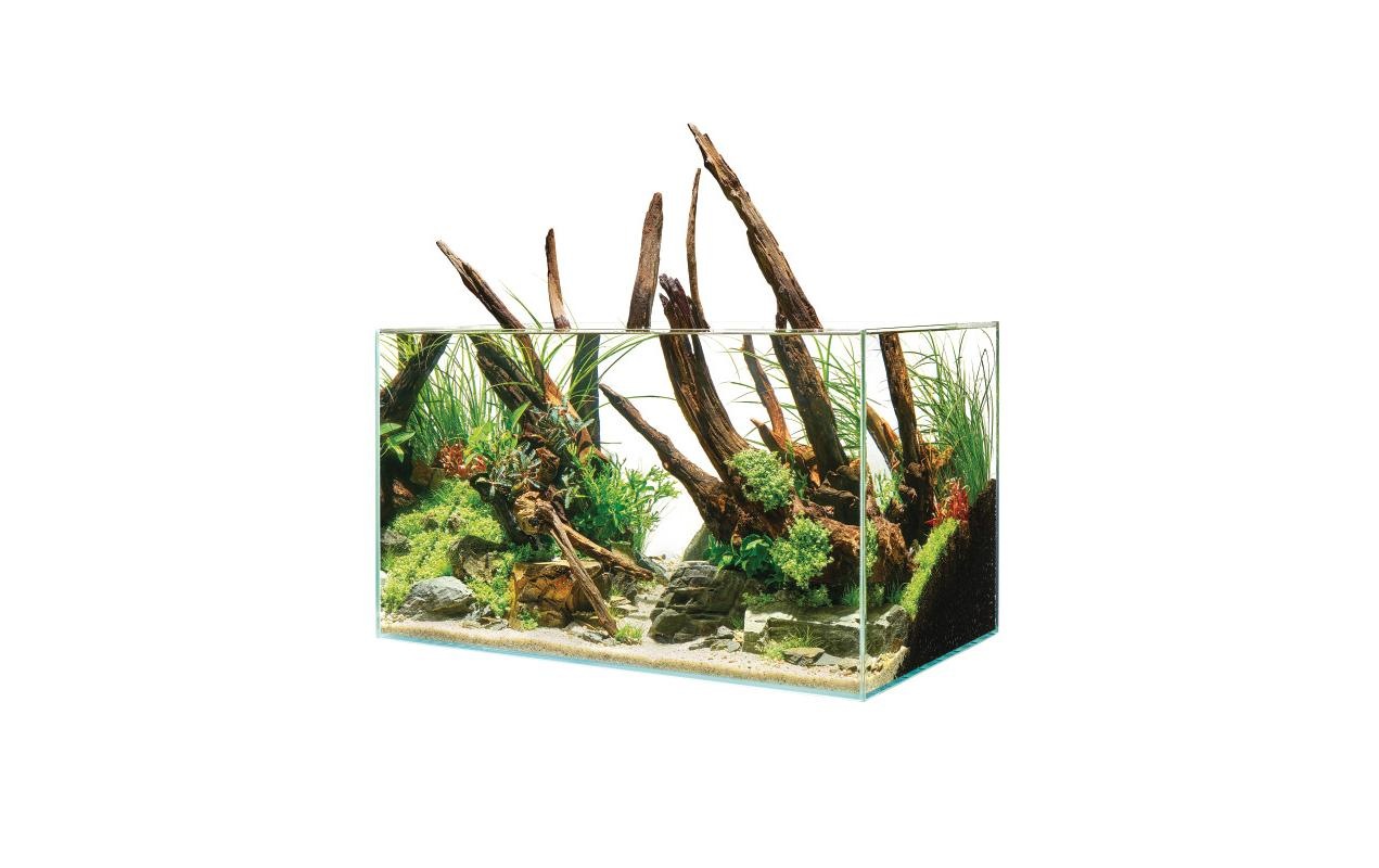 OASE Aquarium »ScaperLine 60 75 l«