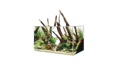 Aquarium »ScaperLine 60 75 l«