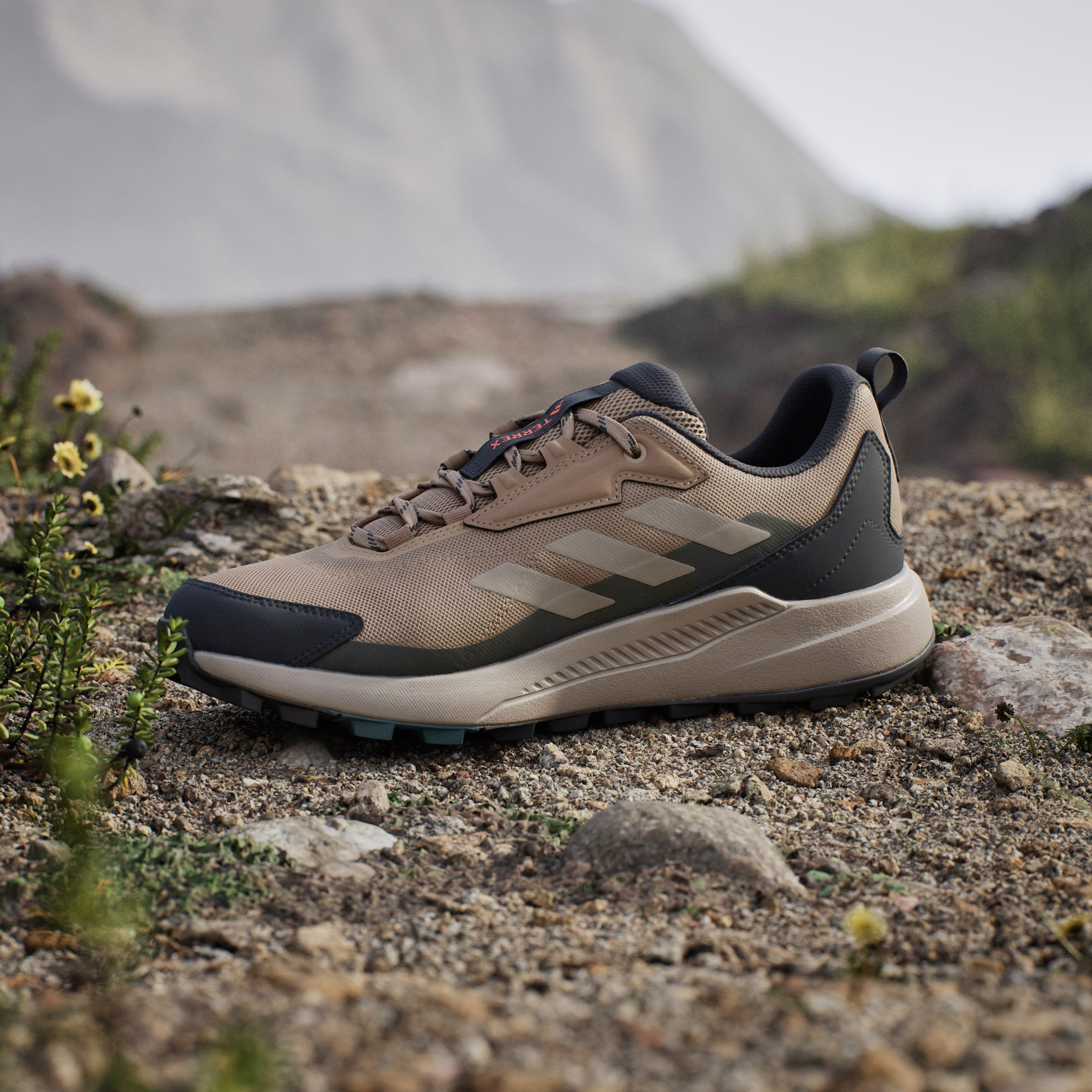 adidas TERREX Wanderschuh »TERREX ANYLANDER«
