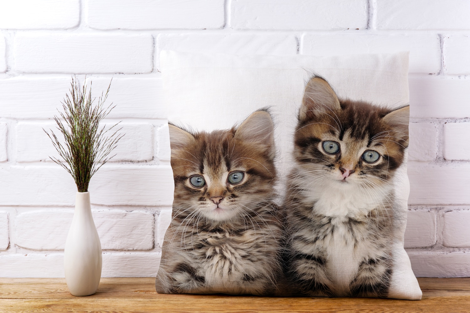 queence Dekokissen »Patrick«, Kissenhülle,Katzen,Tiermotiv,Niedlich,Verspielt,Haustiere,Dekorativ