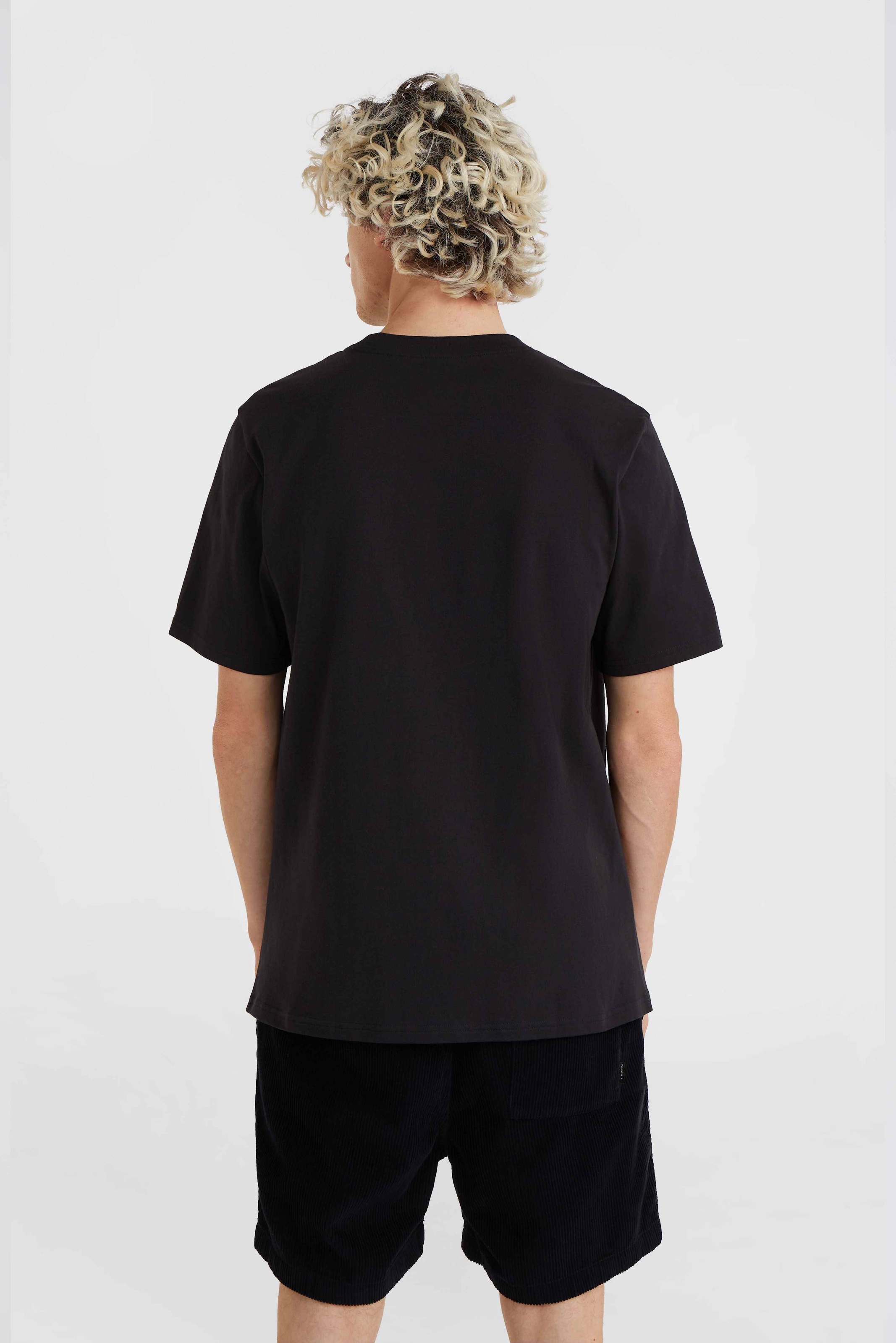 O'Neill T-Shirt »MIX & MATCH PALM T-SHIRT«, mit Rundhalsausschnitt