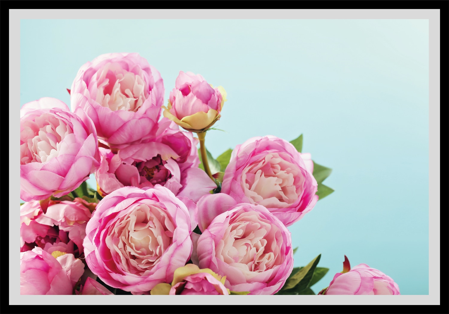❤ queence Bild »HAPPY PLACE«, Pflanzen, (1 St.) ordern im Jelmoli-Online  Shop