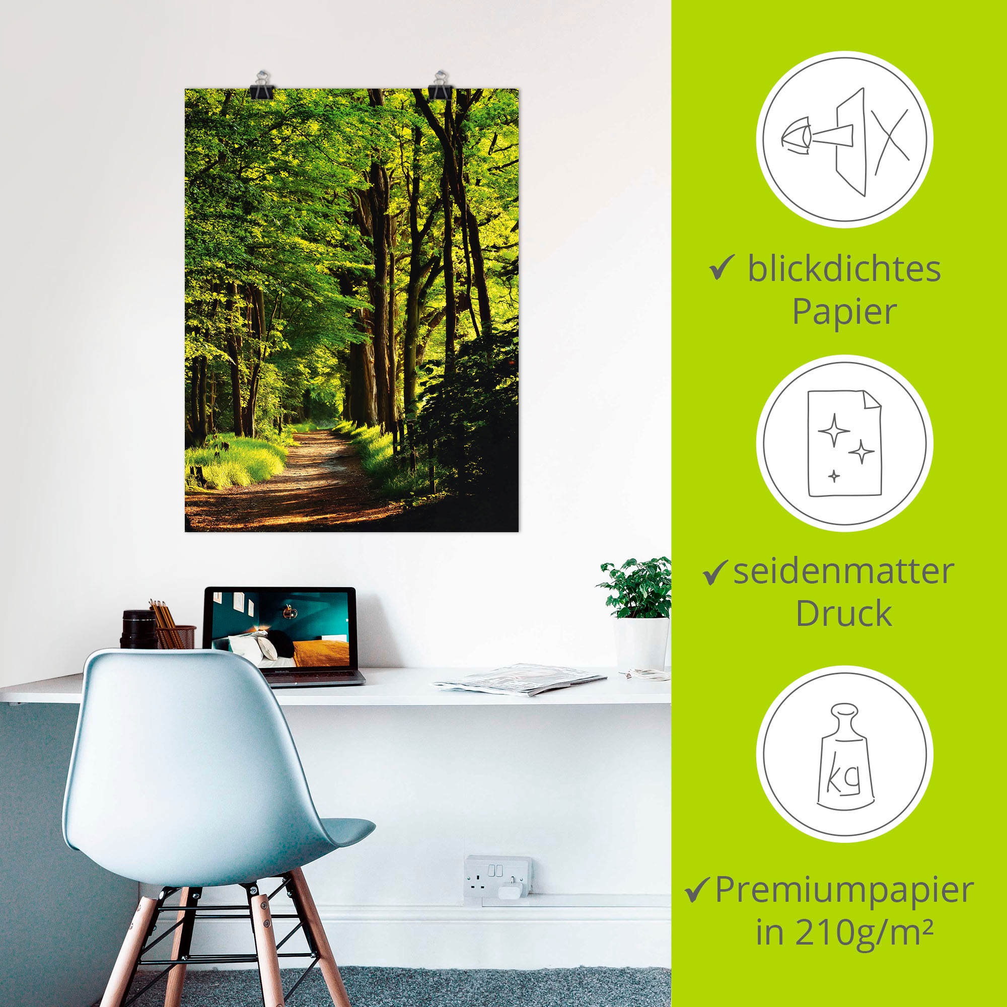 Artland Wandbild »Weg im Wald«, Wald, (1 St.), als Alubild, Outdoorbild, Leinwandbild, Poster in verschied. Grössen