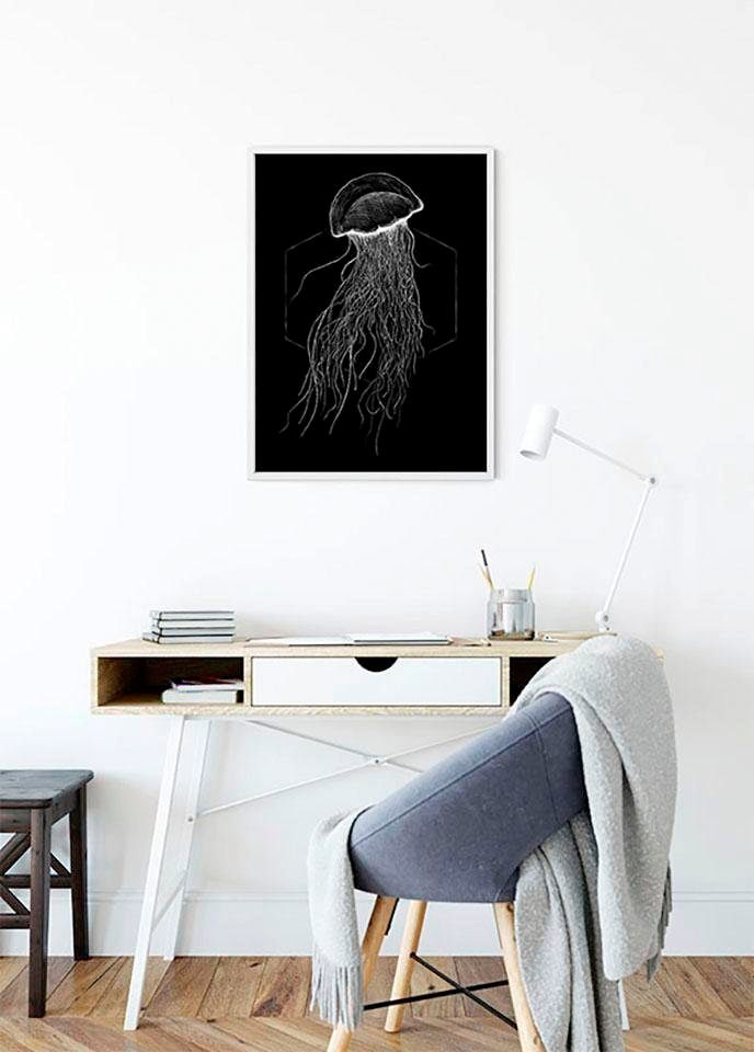 ❤ Komar Poster »Jellyfish Black«, Tiere, (1 St.), Kinderzimmer, Schlafzimmer,  Wohnzimmer ordern im Jelmoli-Online Shop