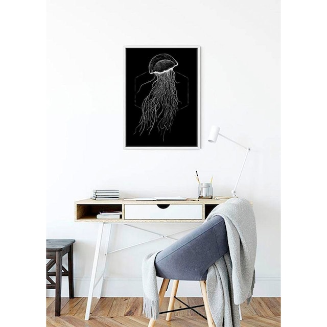 ❤ Komar Poster »Jellyfish Black«, Tiere, (1 St.), Kinderzimmer, Schlafzimmer,  Wohnzimmer ordern im Jelmoli-Online Shop