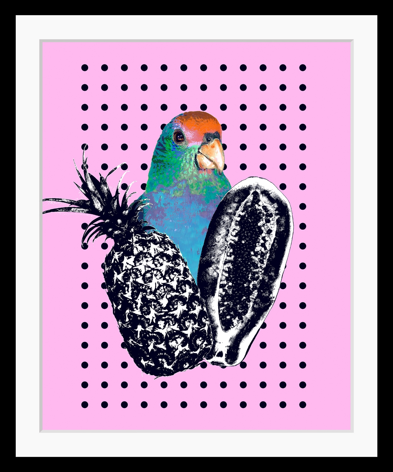 queence Bild "Luana" Ananas Foto Kunst Papageien Süssigkeiten Süssspeisen Vogelbilder Vögel HD Premium Poster-Druck inkl. Holzrahmen
