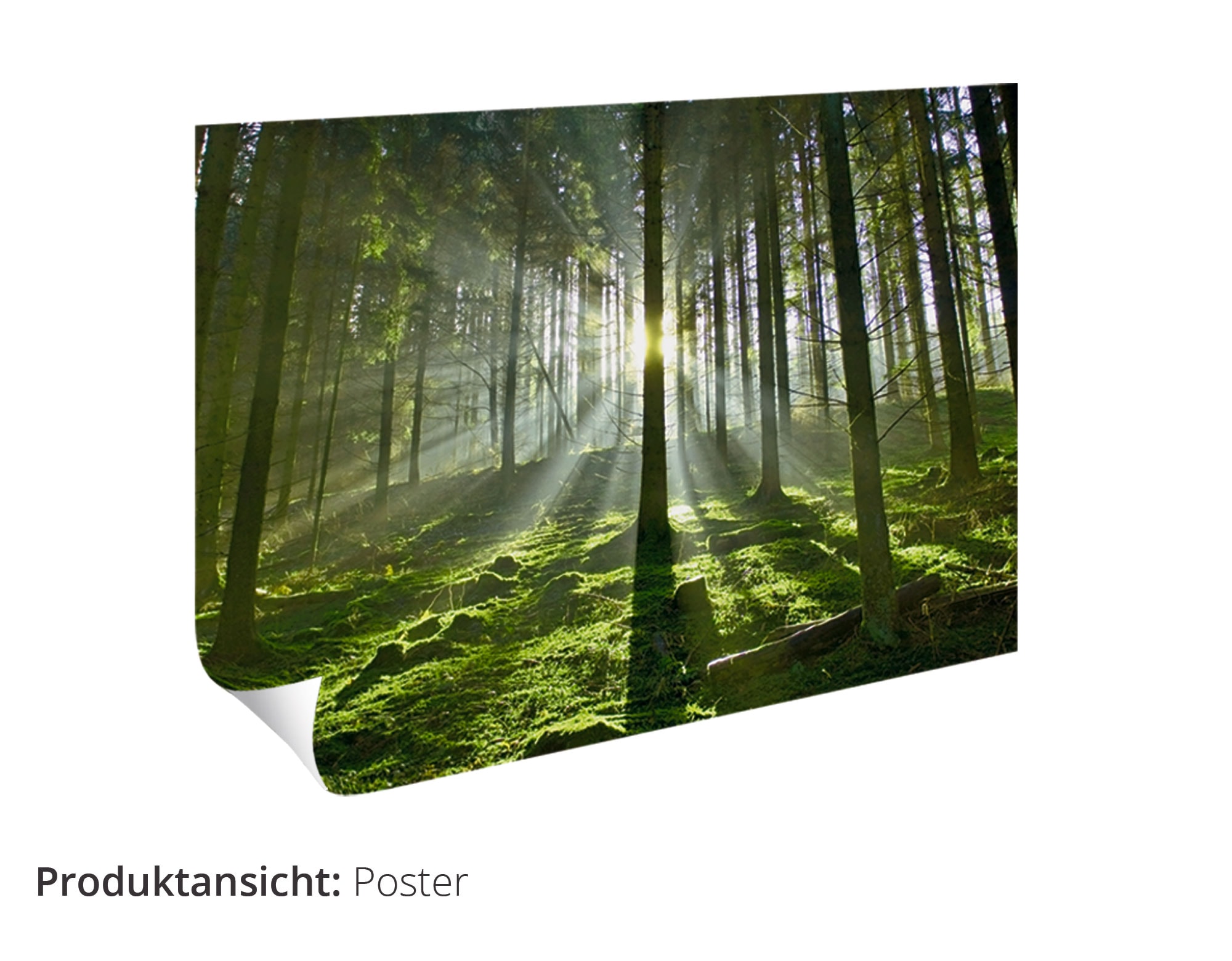 Artland Wandbild »Ein Abend in der Natur«, Paar, (1 St.), als Leinwandbild, Poster, Wandaufkleber in verschied. Grössen