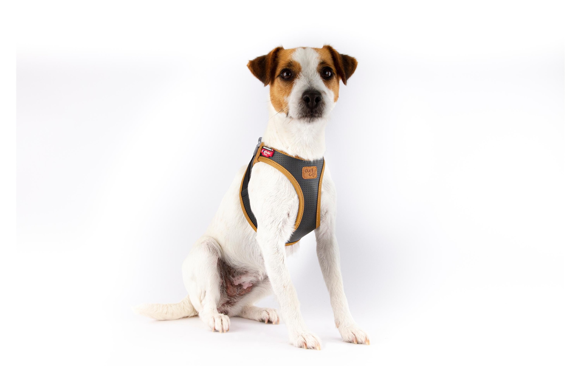 Curli Hunde-Geschirr »Vest Geschirr Apfelleder«, Leder