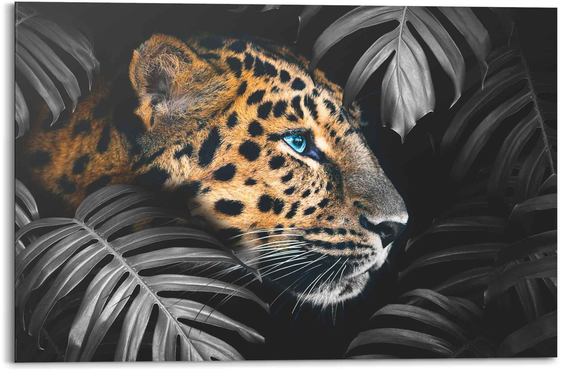 ❤ Reinders! - Shop Pflanze »Wandbild Jungle im entdecken St.) Tiermotiv«, (1 Jelmoli-Online Leopard, Wandbild - Leopard