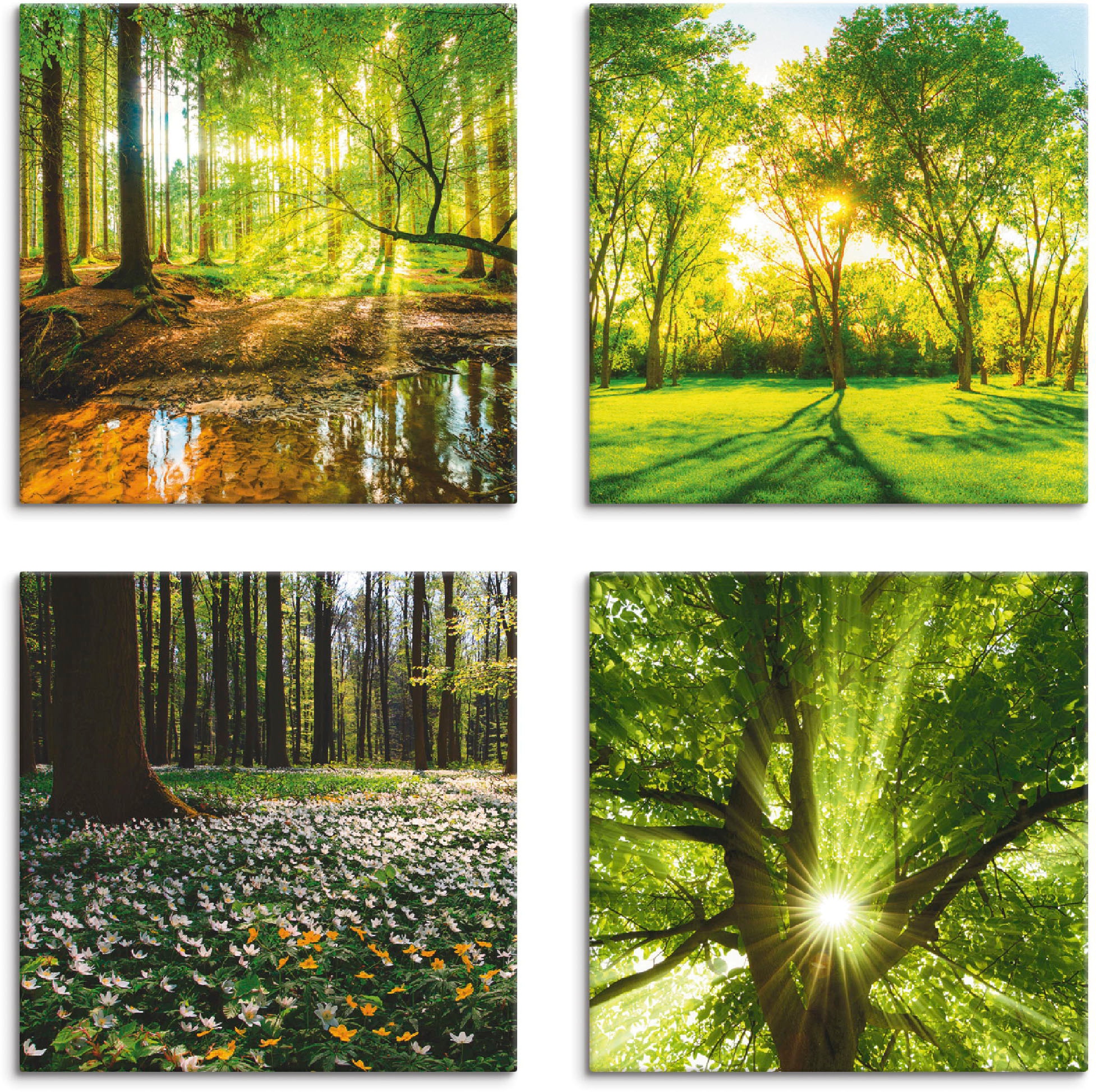 Jelmoli-Versand Windrosen kaufen Leinwandbild »Wald St.), (4 Bach Frühling verschiedene Wald, Grössen Sonne Baum«, 4er | Set, online Artland