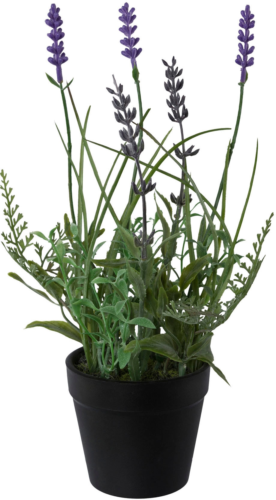 Creativ green Jelmoli-Versand Kunststofftopf Set, 3er online bestellen im Kunstpflanze »Lavendel«, 