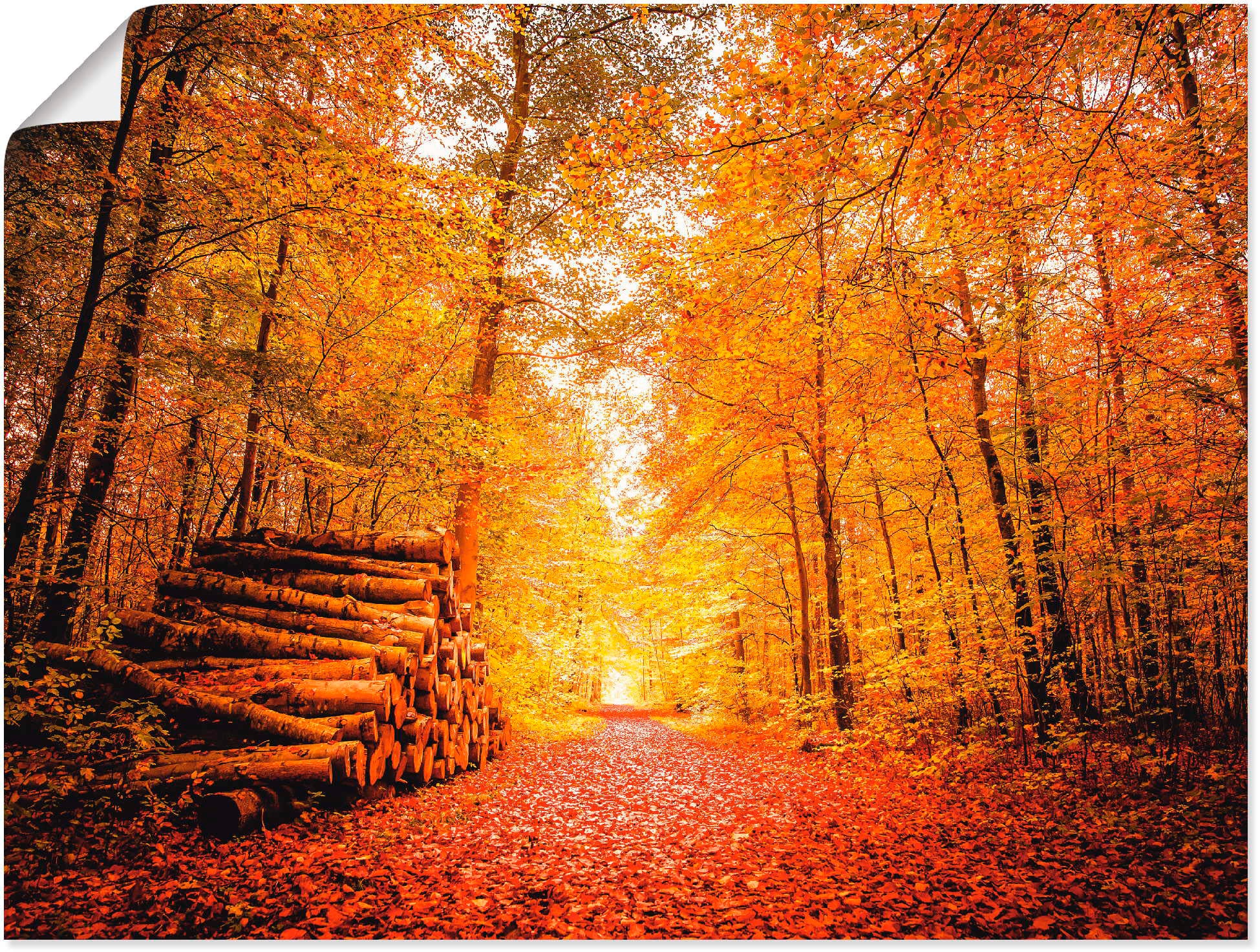 Artland Wandbild »Herbstlandschaft«, Vier Jahreszeiten, (1 St.), als Alubild,  Leinwandbild, Wandaufkleber oder Poster in versch. Grössen online bestellen  | Jelmoli-Versand