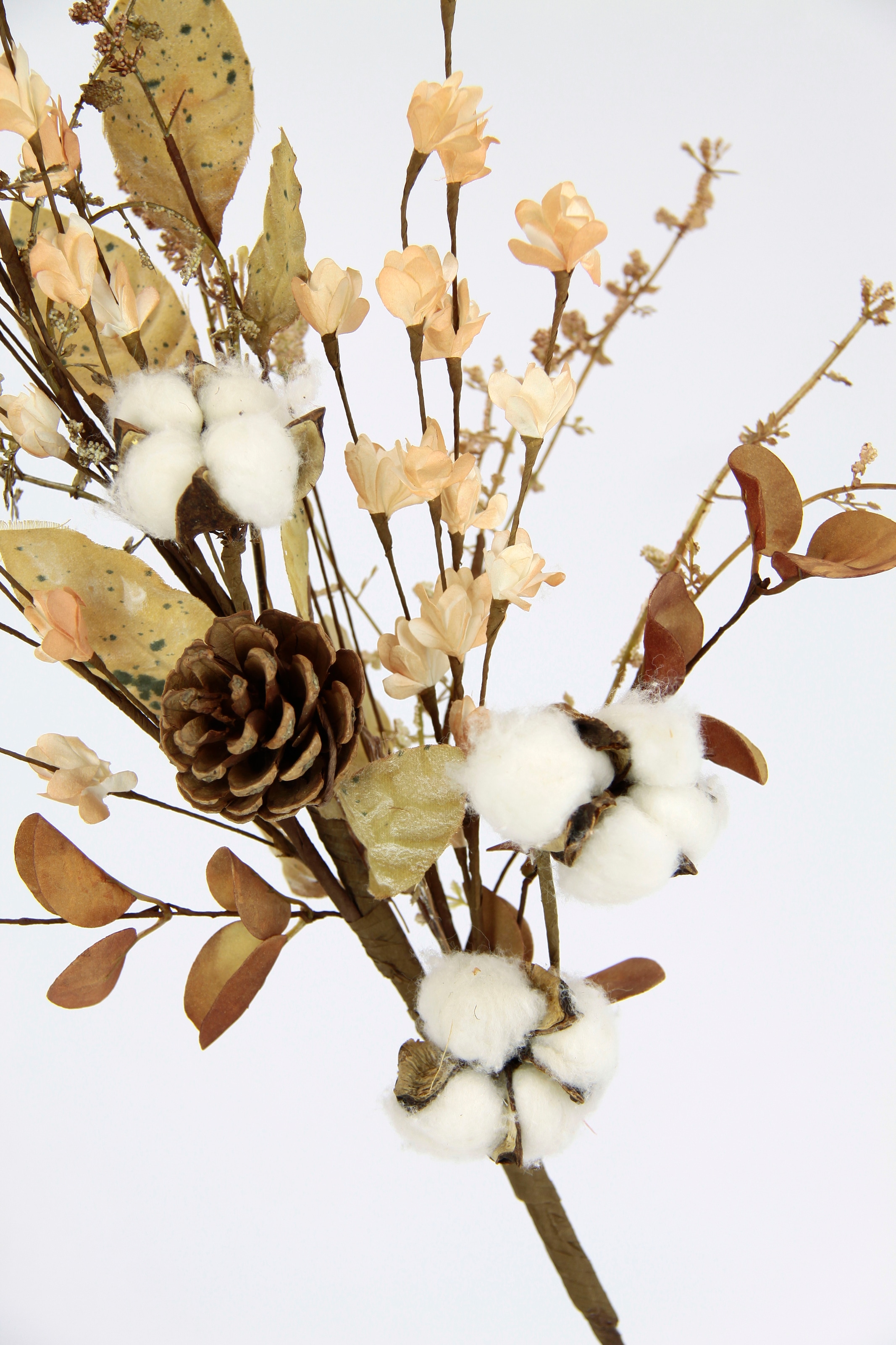 | mit Graszweig I.GE.A. Herbstzweig Jelmoli-Versand Set Zapfen«, »Baumwollzweig online 2er Dekozweig Blumen bestellen Kunstblume Künstliche