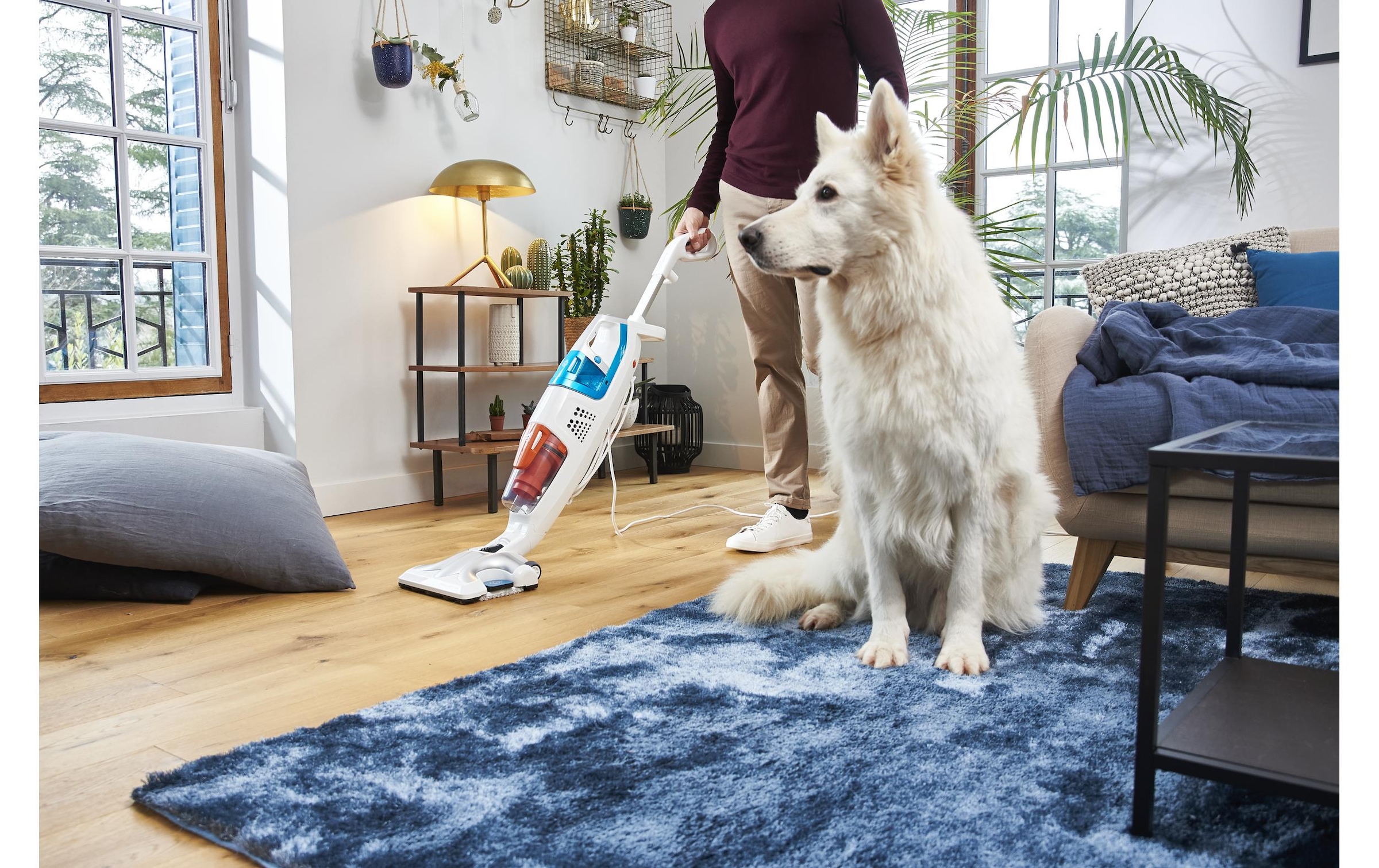 Rowenta Bodenwischer-Set »Clean«