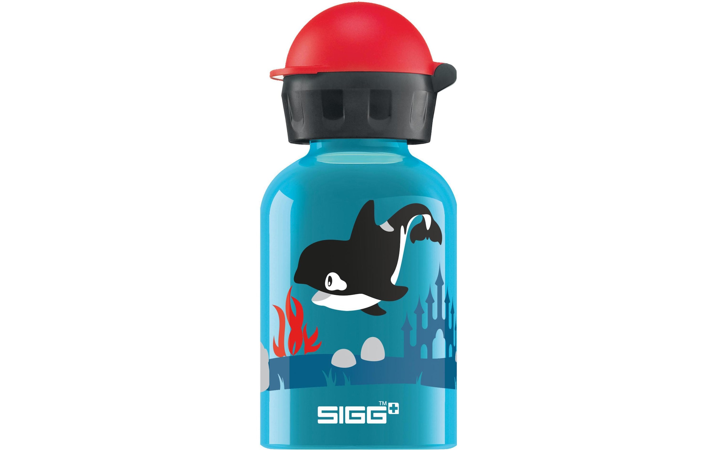 Trinkflasche »Orca Family 300 m«