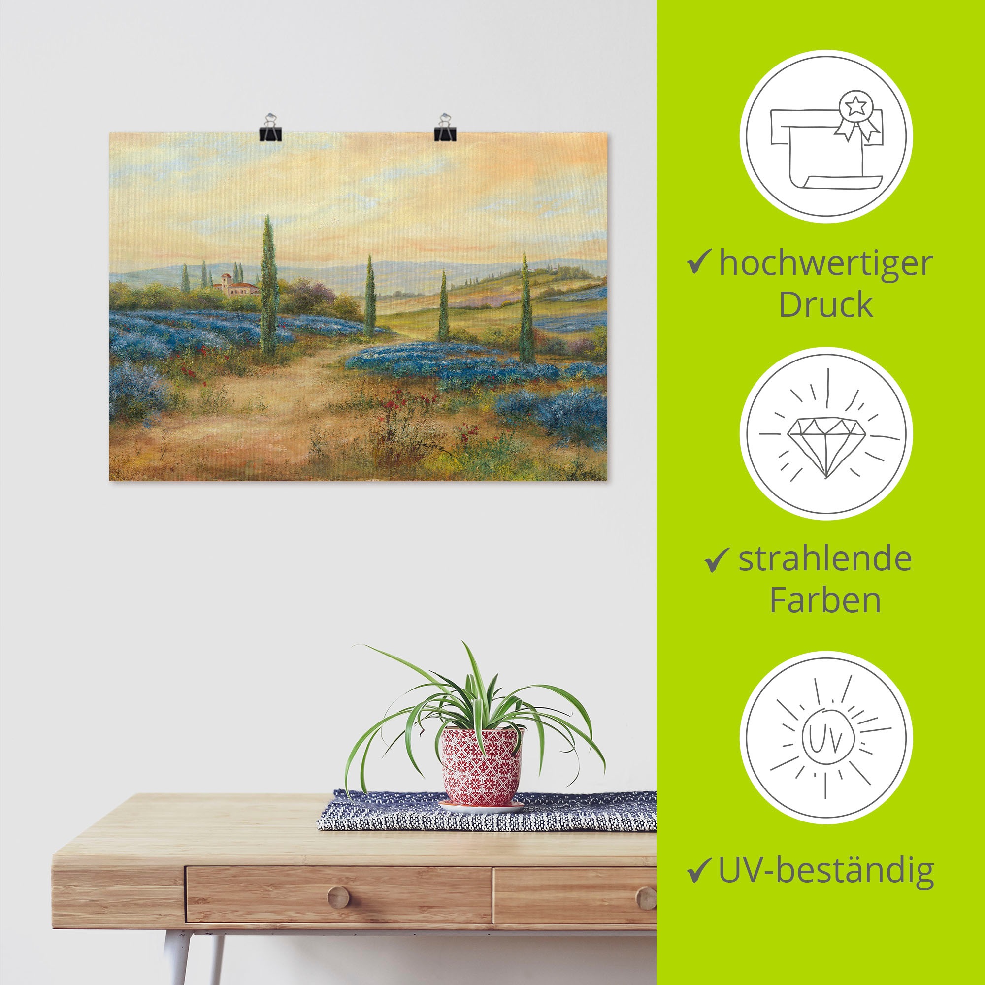 Artland Poster »Lavendelfelder«, Europa, (1 St.), als Alubild, Leinwandbild, Wandaufkleber oder Poster in versch. Grössen