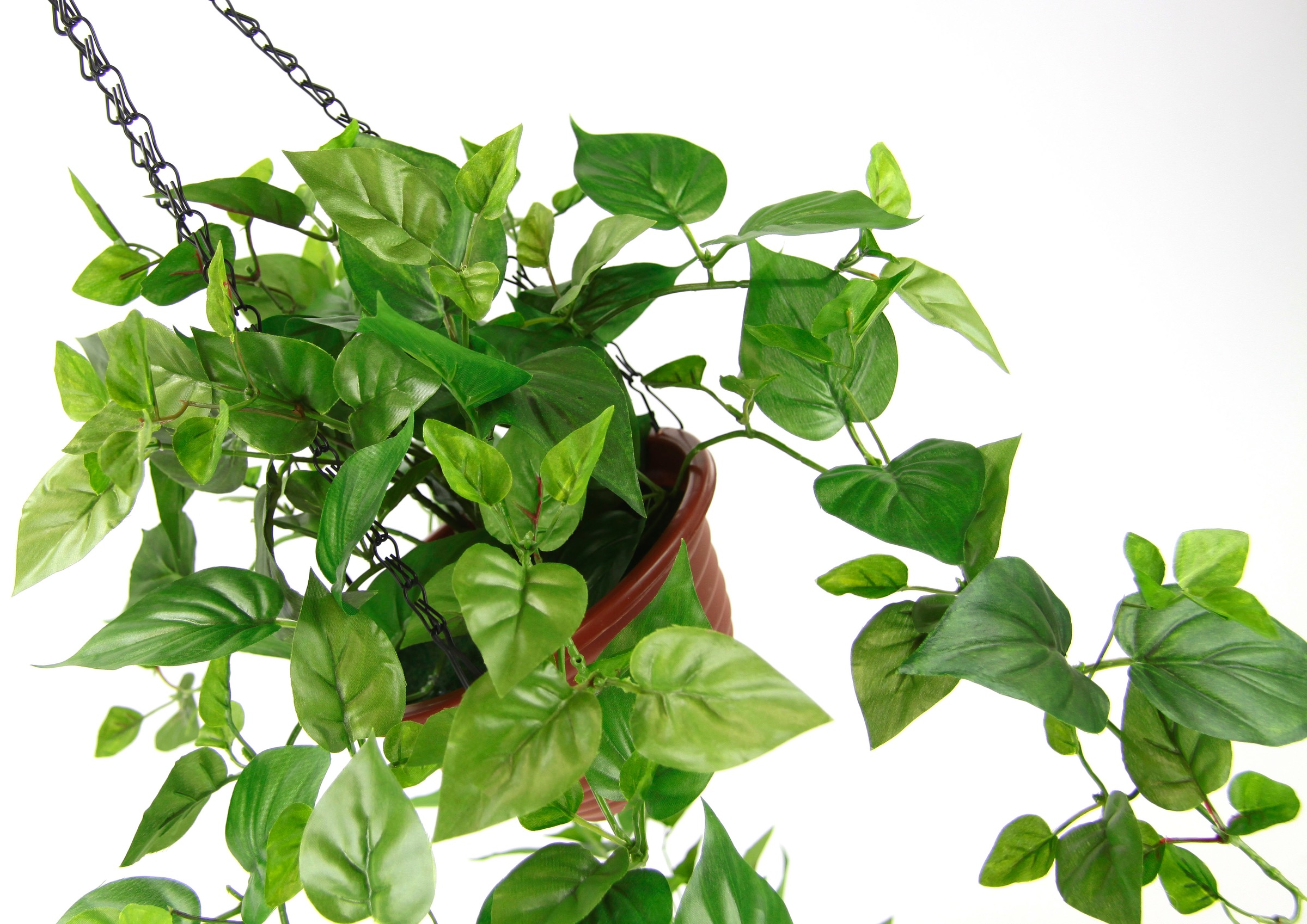 my home Kunstpflanze »Efeutute«, Im Topf, mit Hängeampel, künstliche  Hängepflanze online shoppen | Jelmoli-Versand