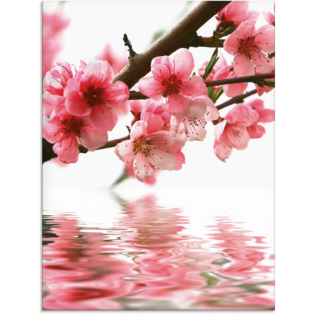 Artland Glasbild »Pfirsichblüten reflektieren im Wasser«, Blumen, (1 St.)