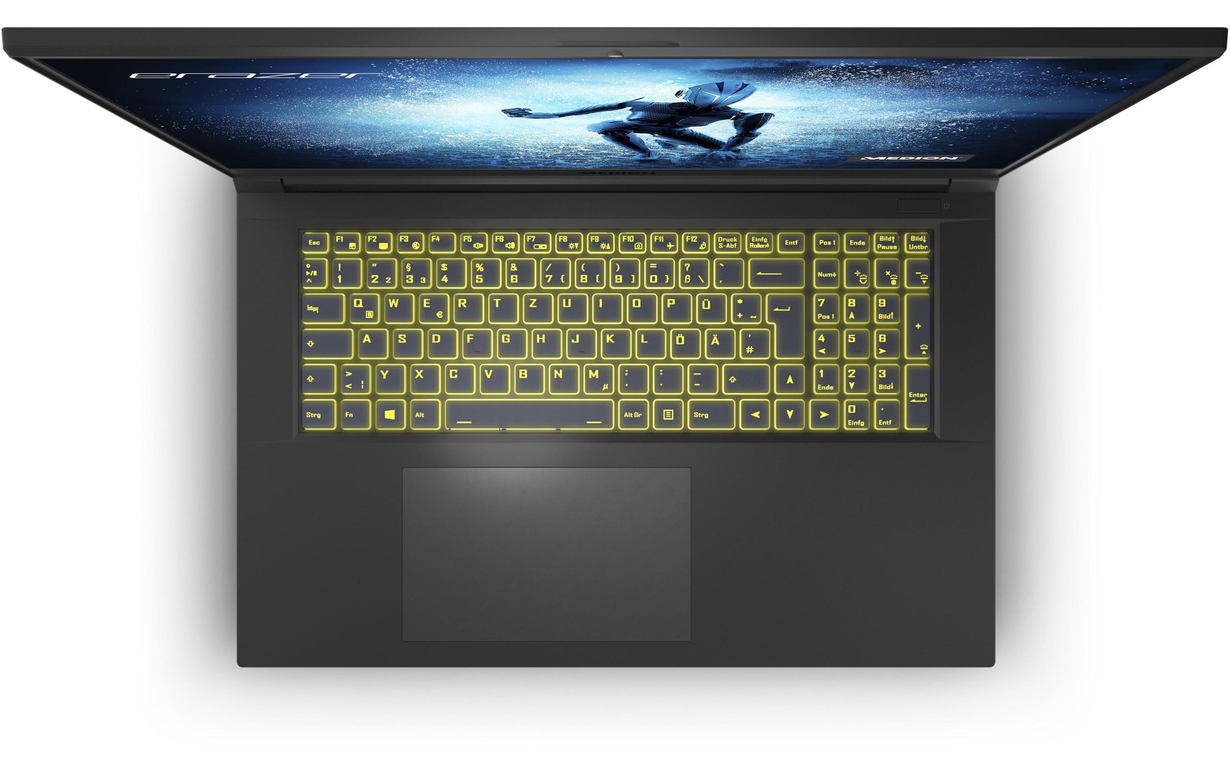 Medion® Gaming-Notebook »Erazer Defender P20«, 43,77 cm, / 17,3 Zoll, Intel, Core i7, GeForce RTX 3060, 1000 GB SSD