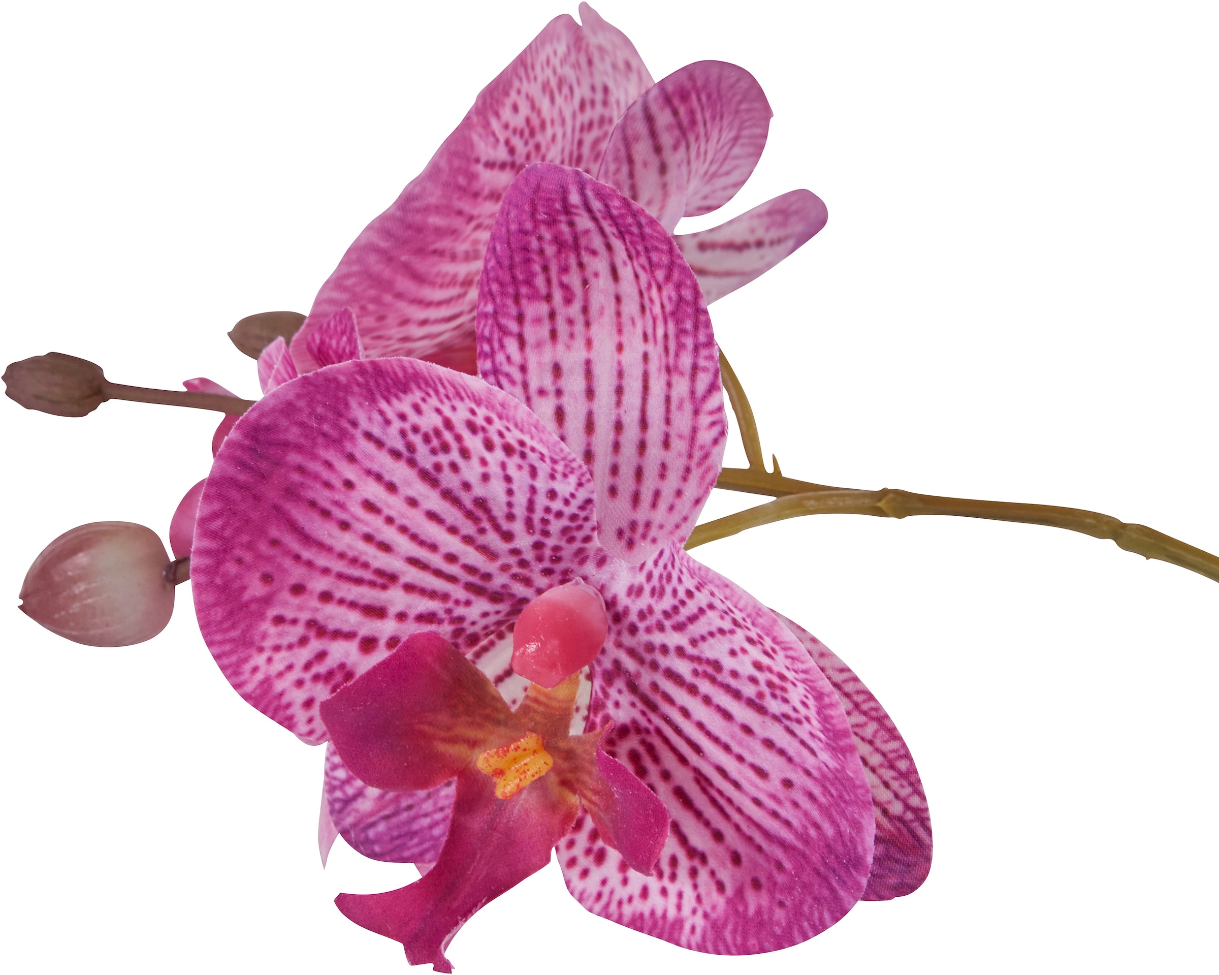 Home affaire Kunstpflanze »Orchidee«, Kunstorchidee, im Topf