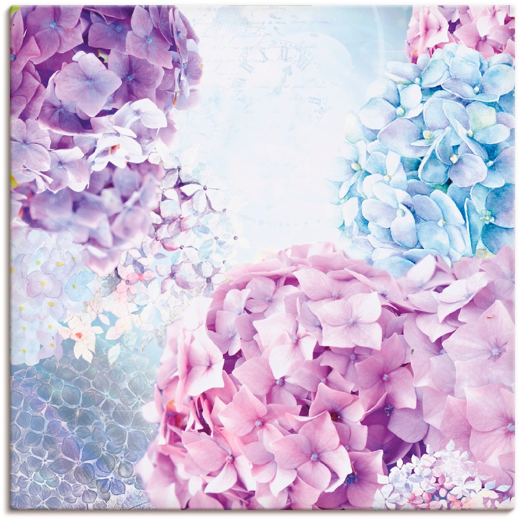 Artland Wandbild »Blau und Pink Hortensie«, Blumen, (1 St.)