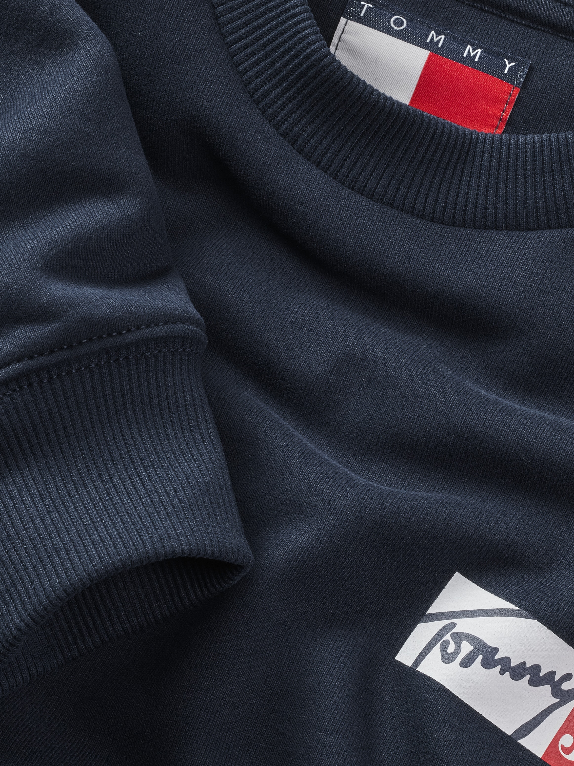 Tommy Jeans Plus Sweatshirt »TJM REG ENTRY GRAPHIC CREW EXT«, in Grossen Grössen, Logodruck