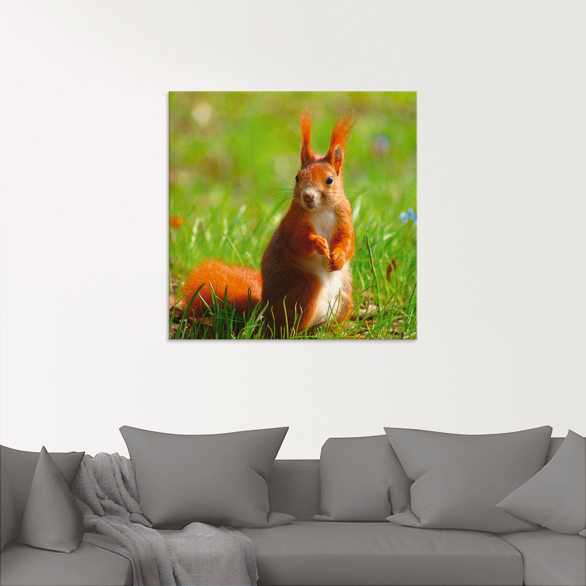 Artland Glasbild »Eichhörnchen Kontakt«, Wildtiere, (1 St.), in verschiedenen Grössen