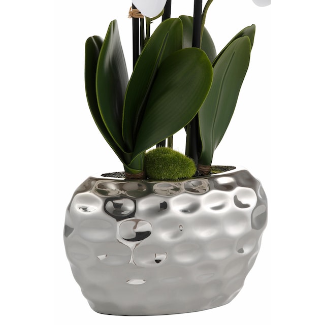 Creativ green Kunstpflanze »Orchidee« online shoppen | Jelmoli-Versand