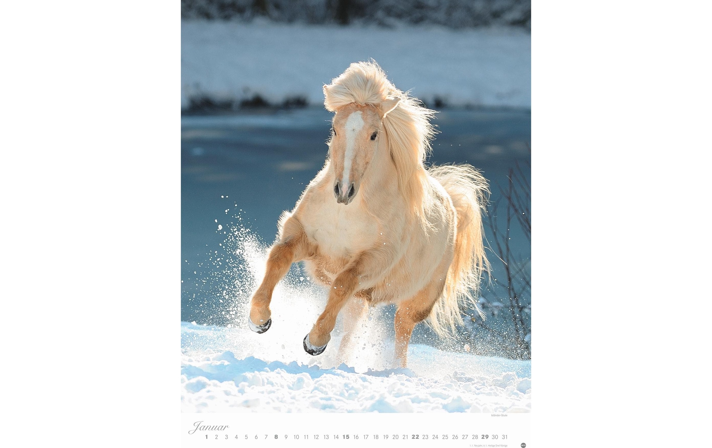 HEYE Wandkalender »Pferde Classics Poste«