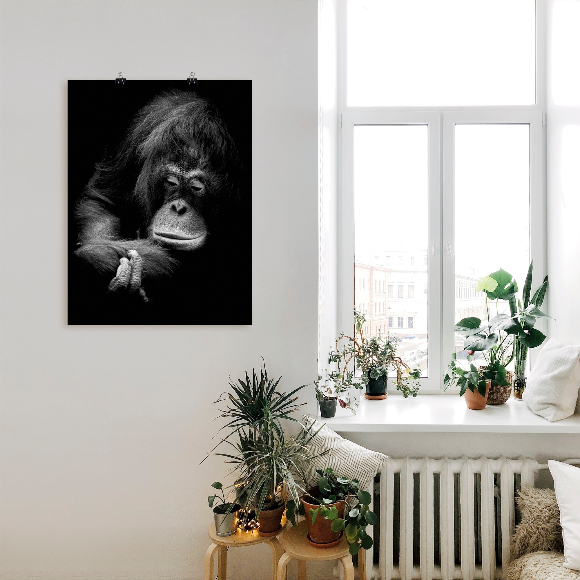 Artland Wandbild »Der Wandaufkleber Orang Leinwandbild, versch. Alubild, als Jelmoli-Versand (1 Poster Utan«, Grössen online in St.), | bestellen oder nachdenkliche Affenbilder